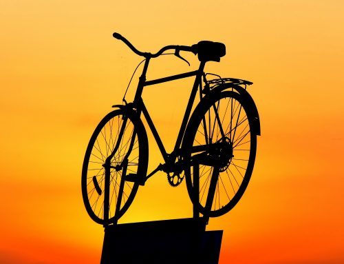 Plato de bici: los beneficios de una buena elección